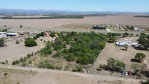 terreno en venta en ruta 5 cordoba